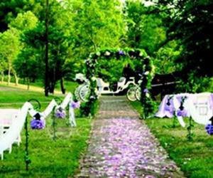 Свадебная арка 016